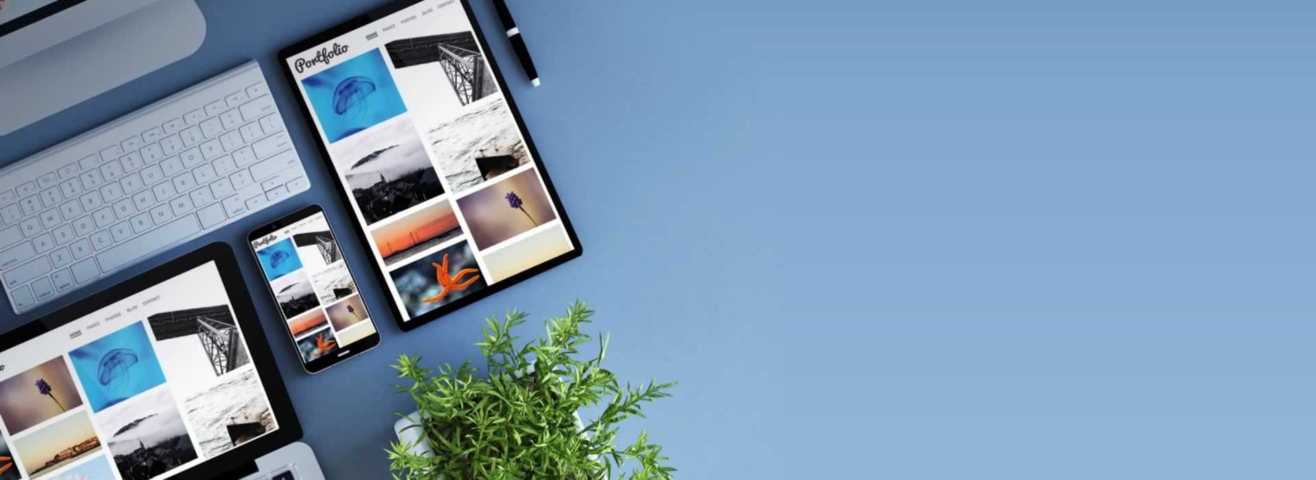 Web Sitesi İçeriği