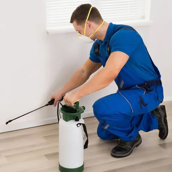 Haşere ve Böcek İlaçlama