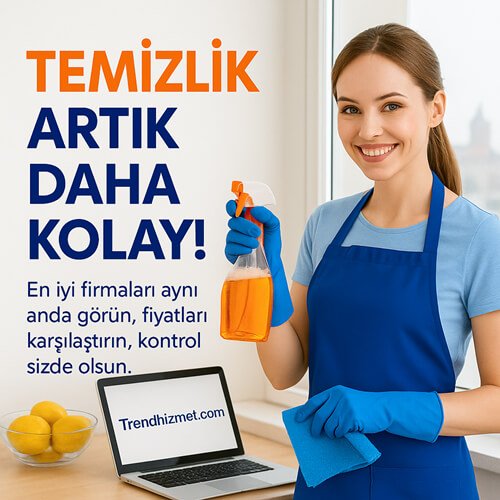 Ev Temizliği